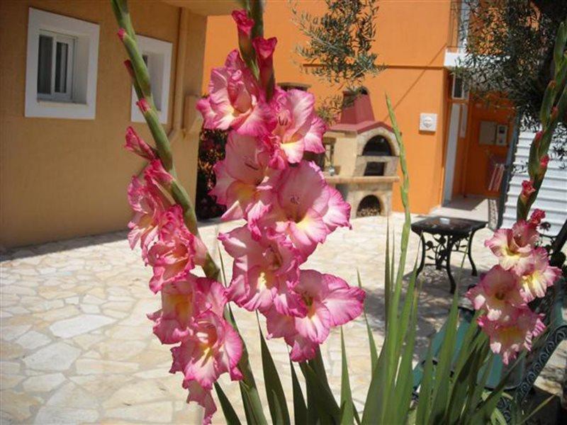 Erietta Studios Svoronata Dış mekan fotoğraf