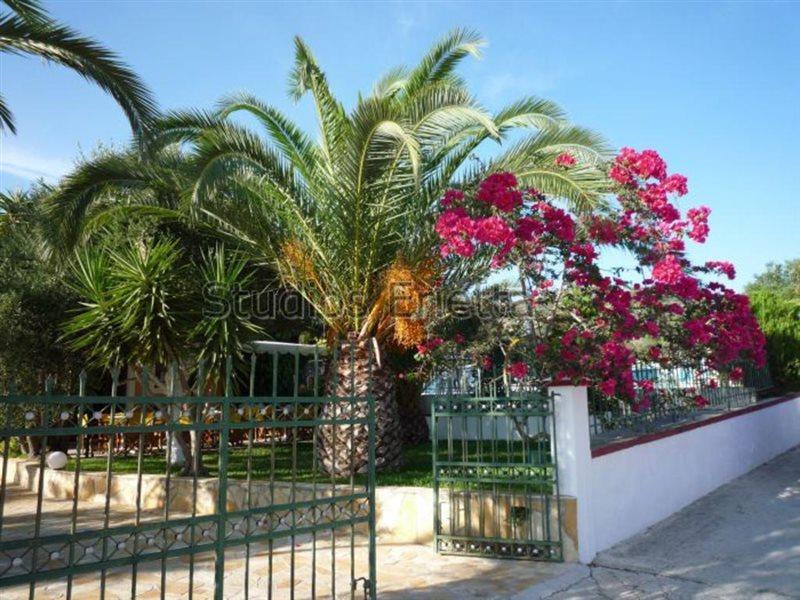 Erietta Studios Svoronata Dış mekan fotoğraf